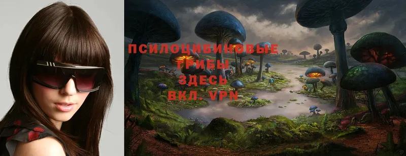 Галлюциногенные грибы Magic Shrooms  kraken зеркало  Аркадак 